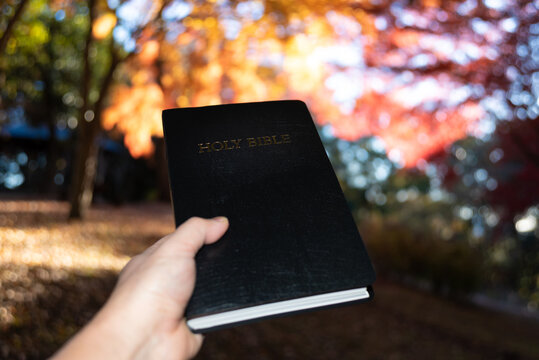 A hand holding a closed black Holy Bible against a soft bokeh and autumn foliage background at Shirao Mountain Park, Fujinomiya, Japan. Horizontal shot.