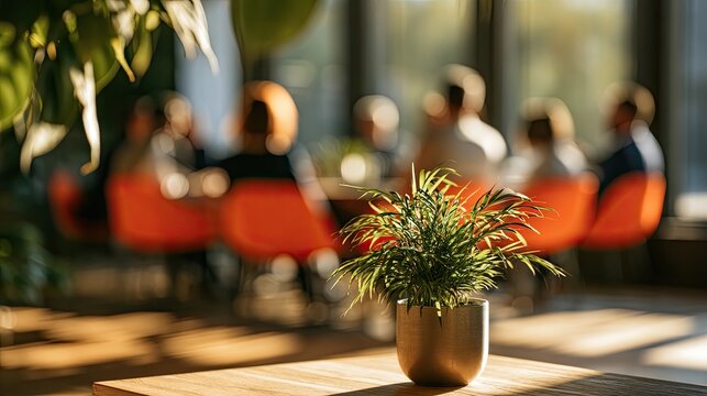 Soft focus on a potted plant with blurred figures seated at orange chairs