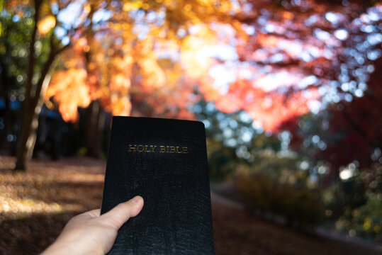 A hand holding a closed black Holy Bible against a soft bokeh and autumn foliage background at Shirao Mountain Park, Fujinomiya, Japan. Horizontal shot.