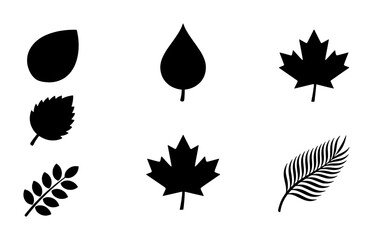 Obraz premium Vector Leaf Icons Set: Autumn Maple, Simple Plant Shapes, Fern Frond Silhouettes for Nature and Seasonal Design
