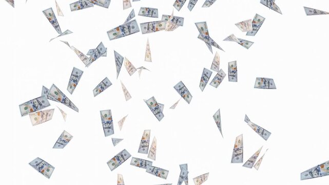 US dollar cash rain with realistic 100 dollar banknotes floating on white background. falling money overlay for finance and wealth concepts. seamless 4k loop.