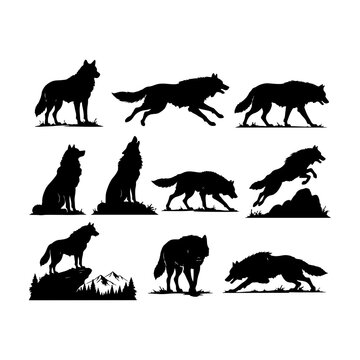 Black Wolf Silhouette Collection, Wild Wolf Poses and Wildlife Vector Illustration Set