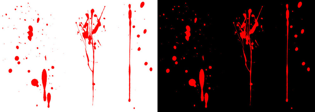 Red blood splatters on white and black backgrounds, realistic blood drips and drops set, horror design elements