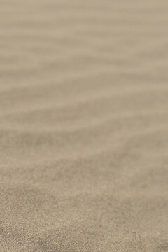 Sanfte, leicht unscharfe Sandstrukturen und feine Linienmuster auf einer D&uuml;ne. Die harmonische Textur eignet sich perfekt als abstrakter und minimalistischer Hintergrund.