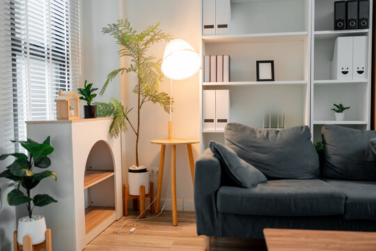 Modern living room interior creating a cozy and comfortable atmosphere with a gray sofa, bookshelf, houseplants, and warm floor lamp light, perfect for relaxation or a home office setting