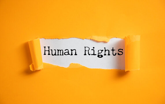 text human rights in the paper