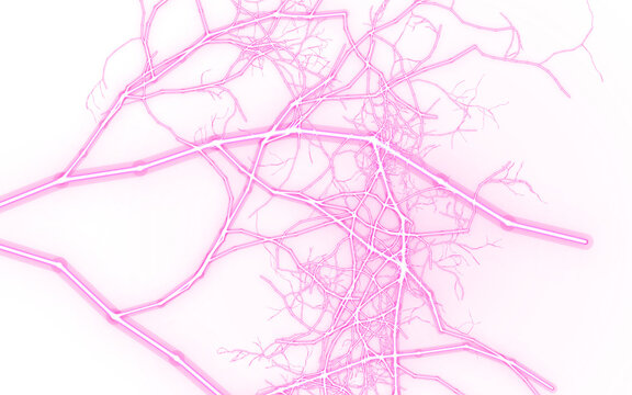 Lightning Pink microscopic blood vessel network on transparent background on Transparent Background