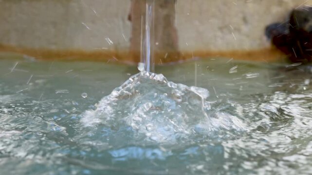 Water droplets create splashes as they fall into a clear pool, showing dynamic movement and fluid interaction with the surface in a natural setting
