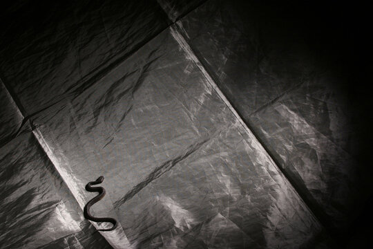 Faraday shielding fabric with a small snake crawling on it.