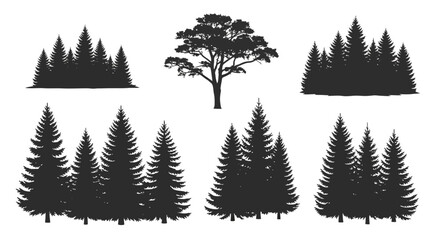 Obraz premium Collection of tree silhouettes on white background with including pine trees deciduous tree arranged rows white environment evergreen ecosystem