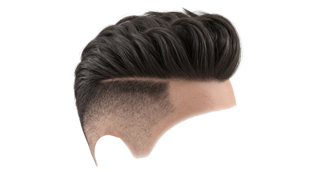 Undercut hairstyle isolated on a white background.