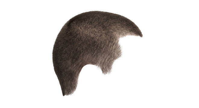 Buzz cut hairstyle isolated on a white background.