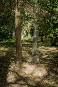 Weathered stone cross standing beneath trees in a quiet old woodland cemetery with sunlight and shadows