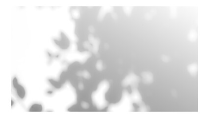 Fototapeta premium Frame with tree and leaf shadows, featuring grain and noise texture on a transparent background for your mockup