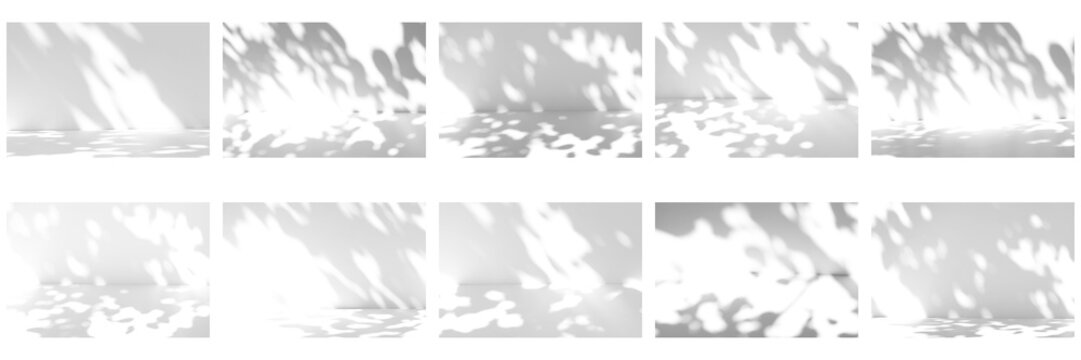 Tree leaf shadow collection overlay on the wall and floor isolated on a transparent background PNG