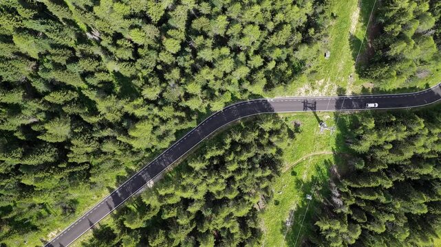 Aerial view of a winding road through a dense pine forest at Pordoi Pass in Canazei, Trentino-Alto Adige, Italy.