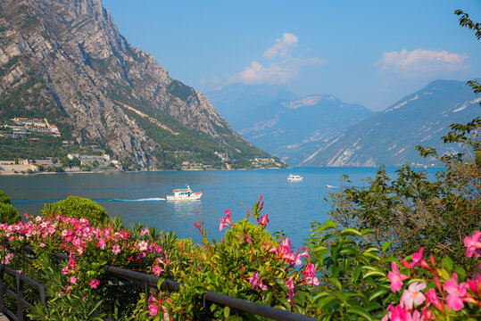 idyllic scenery lake Gardasee, Limone sul Garda. blooming Mandevilla. crossing ships.