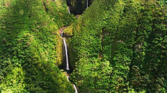 A breathtaking cinematic deep jungle aerial reveal capturing the staggering multi-tiered drop of Honokohau Falls plunging through dense, moss-drenched prehistoric rainforest cliffs on Maui.