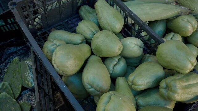 Close up of fresh chayote squash stacked in a plastic crate for sale at a traditional market, showcasing locally grown produce and healthy vegetables in Mexico