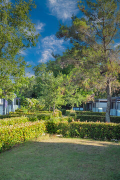 Lush resort gardens with modern cabins and green foliage. Croatia.