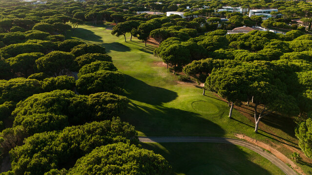 Aerial view of a lush green park with a pathway bisecting the manicured lawn and surrounded by dense trees on a sunny day Stock Photo