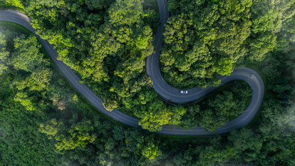 Fototapeta premium Top-down aerial view of a green forest with an EV car, net-zero emissions concept, eco-friendly tourism, future logistics, ESG goals, and sustainable transportation.
