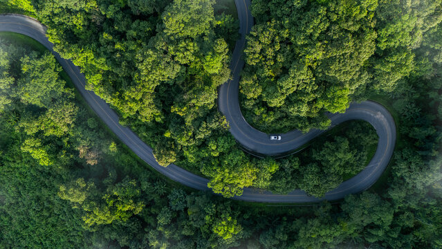 Top-down aerial view of a green forest with an EV car, net-zero emissions concept, eco-friendly tourism, future logistics, ESG goals, and sustainable transportation.