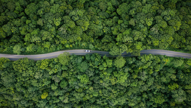 Top-down aerial view of a green forest with an EV car, net-zero emissions concept, eco-friendly tourism, future logistics, ESG goals, and sustainable transportation.