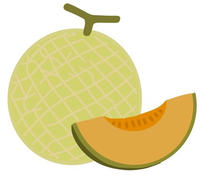 slice of melon