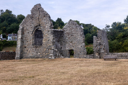 Ruins of St Dogmaels Abbey