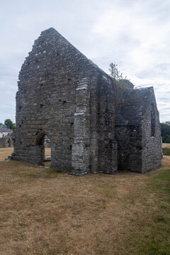 Ruins of St Dogmaels Abbey