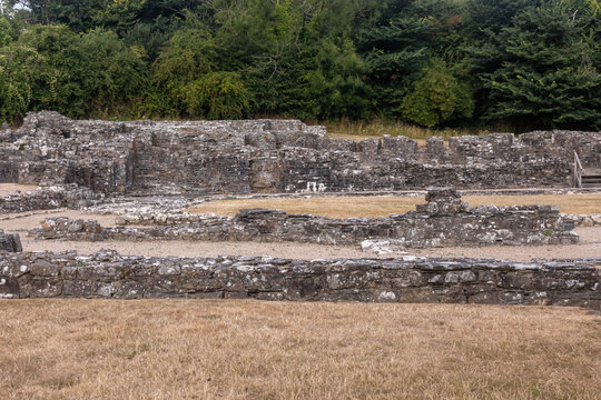 Ruins of St Dogmaels Abbey