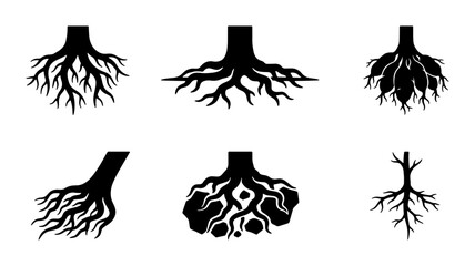 Fototapeta premium Diverse Root Systems Vector Icons, Organic Growth and Foundation Symbols, Plant Biology and Nature Elements
