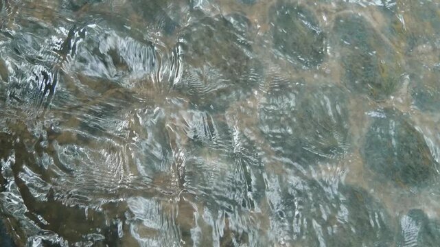 Clear flowing water streaming over smooth river stones in a natural stream.