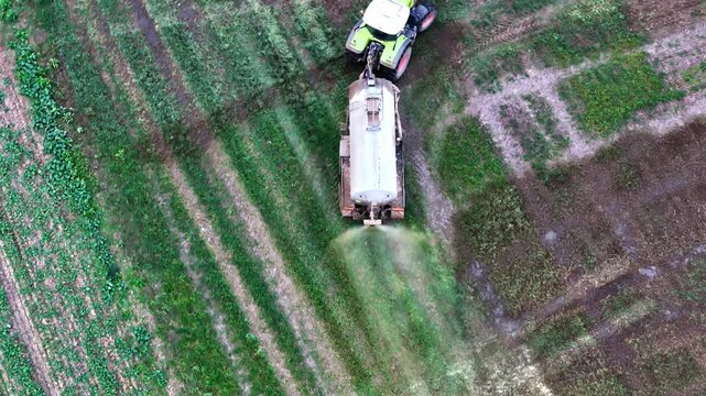 Aerial view of a tractor pulling a slurry tanker to spray fertilizer on a green field in Latvia.