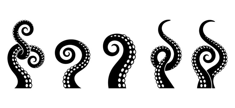 Collection of five black octopus tentacles with prominent suckers, coiled and curved, isolated on white background.