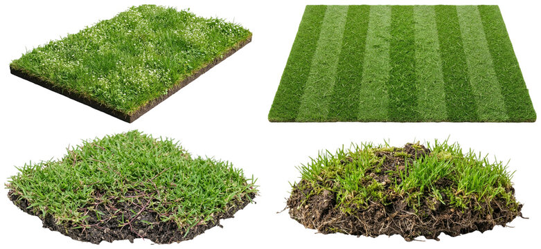 A collection of assorted lawn grass patches and turf sections showing different textures, seasons, and grass types.