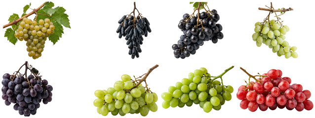 Fototapeta premium A collection of assorted grape bunches in green, red, purple, and black varieties isolated on white.