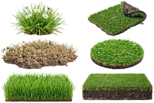 A collection of assorted lawn turf patches and grass types with seasonal and textured variations.
