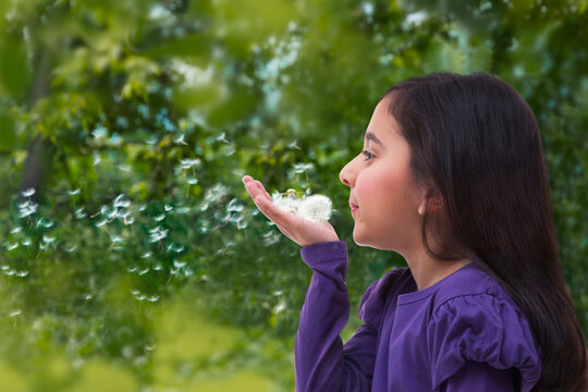 Young girl blowing on a dandelion 
