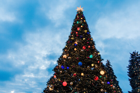 Large Christmas tree decorated with colorful ornaments under a blue sky in a park during the holiday season
