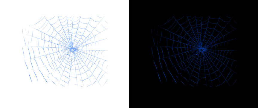 Blue spider web illustration set, glowing cobweb graphics on black and white backgrounds, spooky halloween design elements