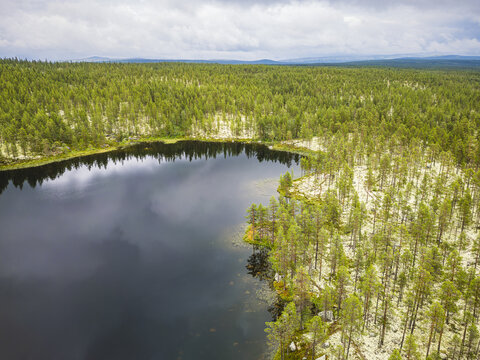 Aerial view of a serene lake surrounded by a dense pine forest and mossy terrain in Norway.