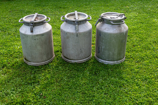 Three Vintage Milk Cans Showcase Traditional Dairy Farming on Green Grass