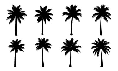 Fototapeta premium Six palm trees in a simple black and white line art style
