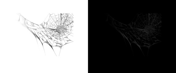 Spooky spiderweb illustration set, creepy cobweb design elements on black and white backgrounds, halloween graphic assets