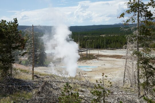 Panache de Vapeur &agrave; Norris Geyser basin - Yellowstone 