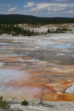 Couleur de Norris Geyser Basin - Yellowstone