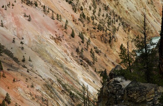 Zoom sur la roche jaune de Yellowstone - USA