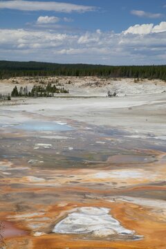Norris Geyser Basin &agrave; Yellowstone - Wyoming 